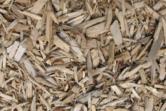 biomass boilers Cabrich